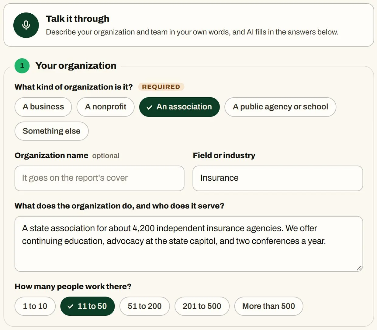 Where AI Fits' first step with a made-up association's details filled in, next to the Talk it through button.